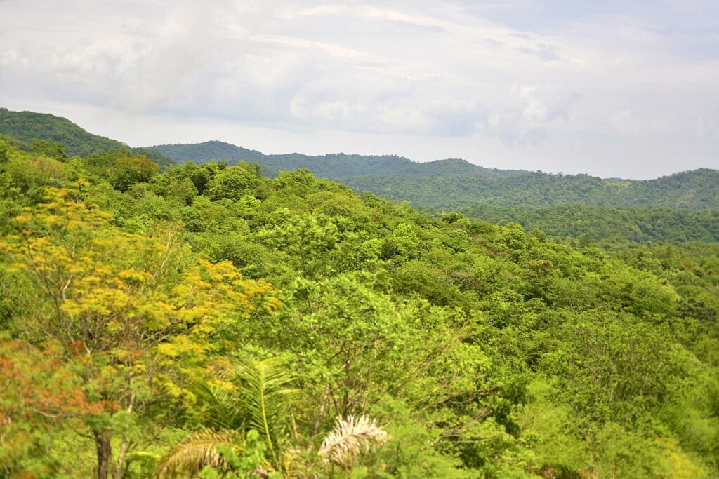 Serra da Bodoquena