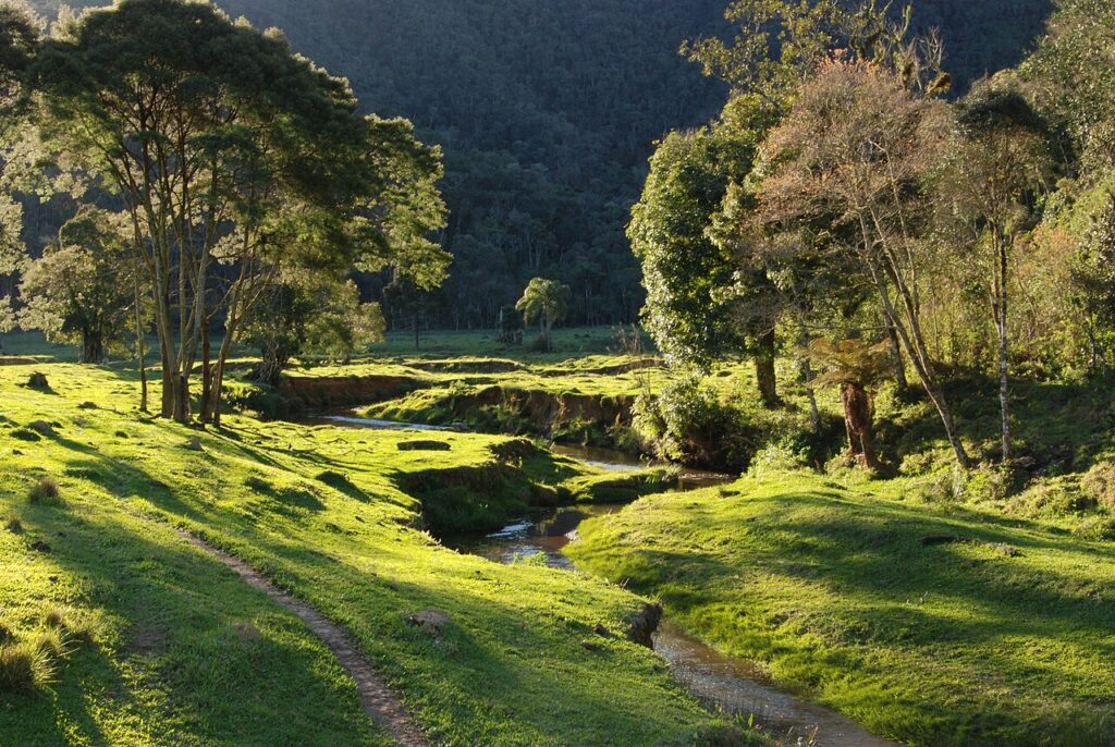 Serra do Itajaí
