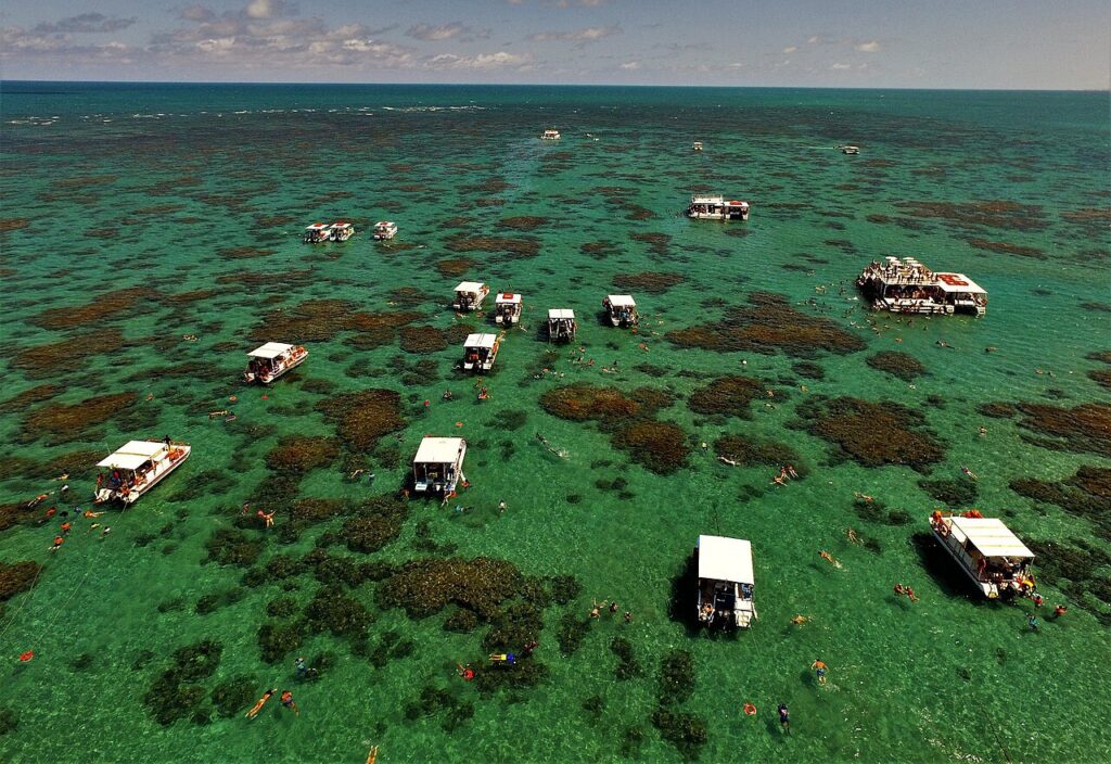 Parrachos de Maracajaú