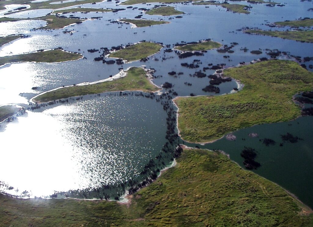Pantanal sul-mato-grossense